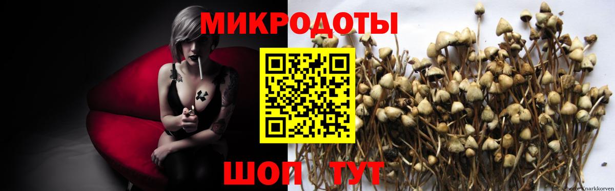 Псилоцибиновые грибы Magic Shrooms Аргун