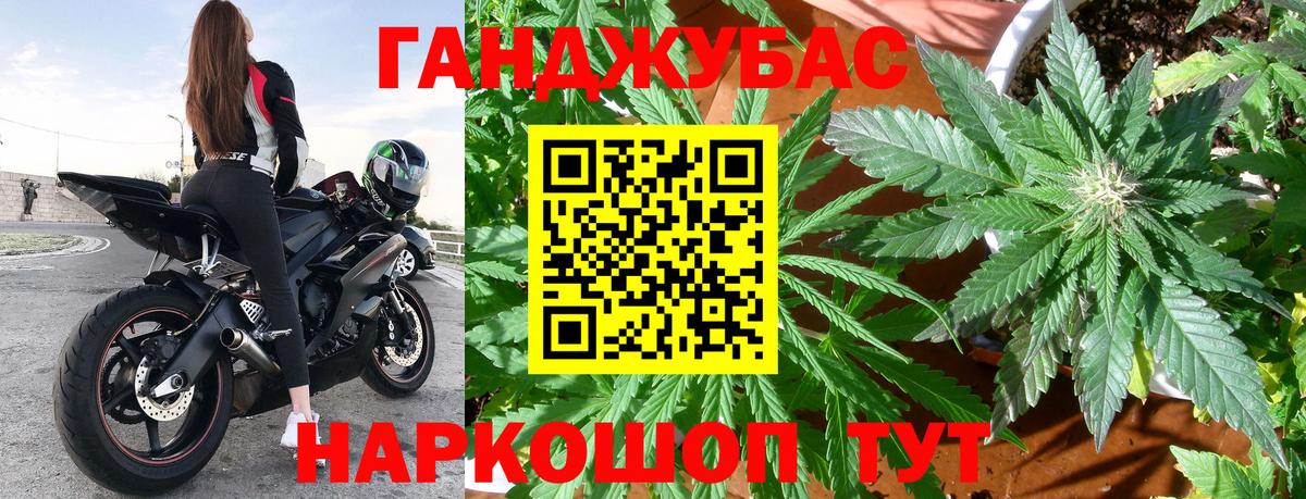 Каннабис сатива Аргун